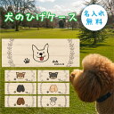 【名入れ無料】 犬のひげケース 木製 名入れ 名前入り 松 箱 いぬのひげケース 犬のひげ ケース いぬの髭ケース 犬の髭ケース ボックス コンパクト 遺毛 遺...