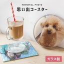【写真プリント無料】 写真入り コースター 選べる2タイプ すべり止め ゴム付き キッチン カフェ グッズ インテリア おしゃれ かわいい 北欧 キッチン雑貨 ...