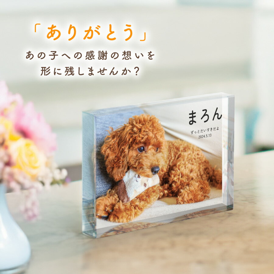 【写真印刷無料】ペット位牌 ガラスブロック インテリア フォトフレーム クリスタル プレート 名入れ ペット 仏具 仏壇 位牌 遺影 ガラス 自立 写真 記念 印刷 写真 プリント メモリアル 思い出 名前入り 供養 手元供養 2