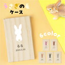 【 名入れ無料 メール便 送料無料 】 うさぎの毛ケース うさぎのしっぽ 幸運 毛 ウサギ うさぎ 兎 メモリアル ペット お名前入り オリジナル 名入れ 保管...