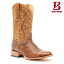 BOOT BARN ֡ȥС ǥॺ  ȥå å֥ɥ ֥饦 CODY JAMES MEN'S OSTRICH EXOTIC BROAD SQUARE BROWN