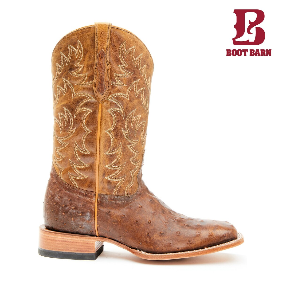 BOOT BARN ブートバーン コディジェームズ メンズ オーストリッチ エキゾチック　ブロードスクエア ブラウン CODY JAMES MEN'S OSTRICH EXOTIC BROAD SQUARE BROWN 2