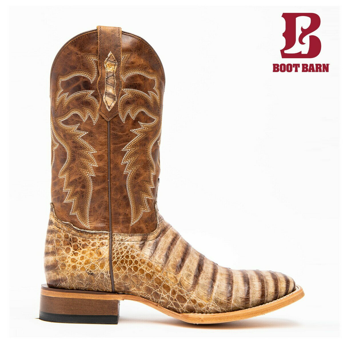 BOOT BARN �֡��ȥС��� ���ǥ� �������ॺ ��� �����ޥ� �٥꡼ �֡��� �֥饦�� CODY JAMES MEN'S CAIMAN BELLY BOOTS BROWN