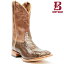 BOOT BARN ֡ȥС ǥॺ  å ѥ 磻  ѥ  ֥饦 CODY JAMES MEN'S EXOTIC PYTHON WIDE SQUARE PHYTHON SKIN BROWN