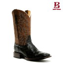 BOOT BARN u[go[ RfBWF[Y Y Th t NC[ I[Xgb` GL]`bN u[c u[h XNGA uE CODY JAMES MEN'S SADDLE FULL QUILL OSTRICH EXOTIC BOOTS BROAD SQUARE BROWN