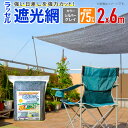 【公式】 遮光ネット ハトメ付 ラッセル遮光網75THSG 75% 2mx6m シルバーグレイ 経済的に省エネ対策 農園芸【代引き対象】 【ダイオブランド】