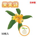 【公式】 果実袋 びわ用 14.5cmx18.5cm 50枚入 底あり 留金付 果実の袋掛 果樹 生産 保護 防虫 害虫 病原菌 対策 陽光量調整 枇杷 ビワ【代引き対象】 【ダイオブランド】