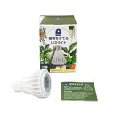 CHISPA 観葉植物 育成用 LEDライト消費電力 10W 口金 E26 高演色性 屋内 多肉 鉢植 器具別売 