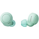 ソニー(SONY) 完全ワイヤレスイヤホン WF-C500 : /軽量小型5.4g/高精度通話品質/簡単ペアリング/IPX4防滴性能/アイスグリーン WF-C500 GZ(2)
