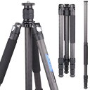 カーボン三脚 ARTCISE 10層カーボンファイバー材質 軽量トラベル三脚 全高1645mm 2023年 デザイン 29mmパイプ径 四段ナットロック式 撮影三脚 三段開脚 一脚伸縮可変式 プロカメラ三脚三脚バッグ 付き ビデオ デジタルカメラ 一眼レフ DSLR ミラーレス スマートフォン等対応