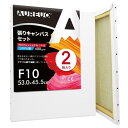 AUREUO 張りキャンバス セット F10 (53.0cmx45.5cm) 中目 全麻 2枚 リネン 専門の絵画用具 芸術絵創作 現代油絵 美術装飾 水彩画・油絵画・アクリル兼用