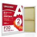 AUREUO 張りキャンバス セット F20 (72.7cmX60.6cm) 中目 100%コットン 2枚 初心者 絵画用具 芸術絵創作 現代油絵 美術装飾 水彩画・油絵画・アクリル兼用