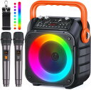 カラオケセット 拡声器 スピーカーセット 家庭用 ワイヤレスマイク2本...(2)