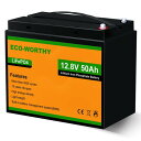 ECO-WORTHY 12V 50AH イオンバッテリー 低温運行 4000回 BMS保護 640Wh lifepo4バッテリー 軽量 トローリングモーター エ...