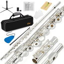 Eastar フルート 銀メッキ 16穴 リングキー Eメカ付き オフセット フルートスタンド専門ケース 初心者セット (銀色)