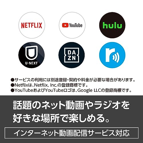 パナソニック 19V型 ハイビジョン ポータブル 液晶テレビ インターネット動画対応 プライベート・ビエラ ブラック UN-19FB10H