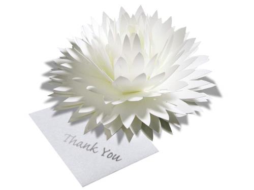 咲くようにひらく 花のサンキューカード forバースデーカード・ウェディング・アニバーサリー・入学・卒業・母の日・クリスマスカード・グリーティングカード (6ホ...