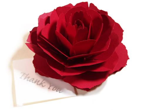 〈レッド-ローズ〉咲くようにひらく 花のサンキューカード forバースデーカード・ウェディング・アニバーサリー・入学・卒業・母の日・お祝い・クリスマスカード・グ...