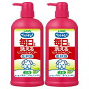 ライオン ペットキレイ 毎日でも洗えるリンスインシャンプー 犬用 ポンプ 550mLx2個パック まとめ買い LIONPET