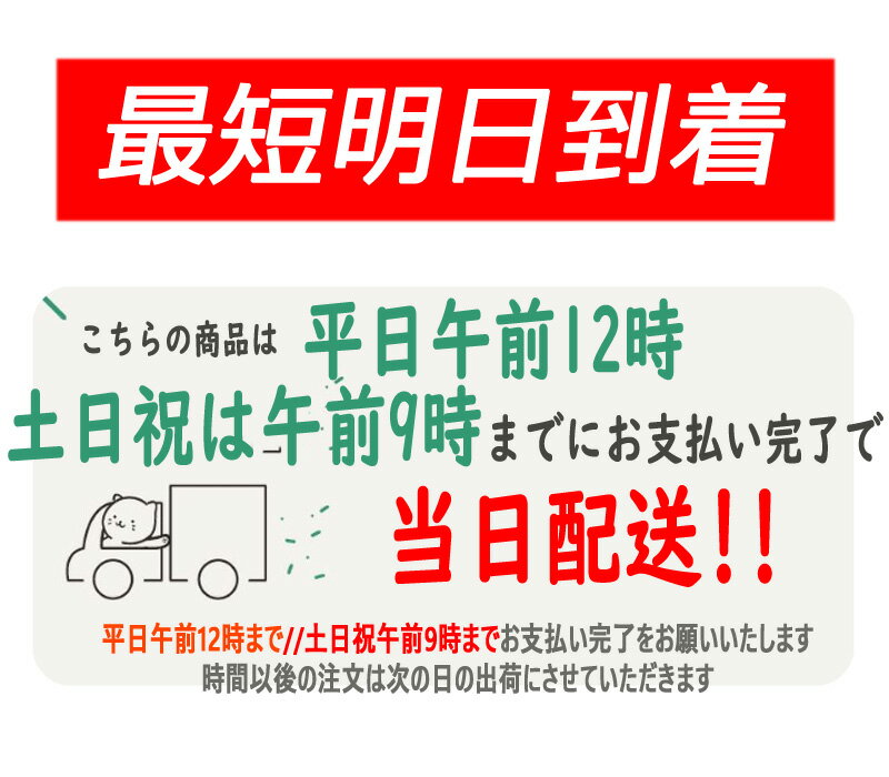 【即日配送】 iPhone 15 14 Pro 13 12 mini SE3 背面 薄型 スリム ケース 保護 スマホケース iPhone15 iPhone14 iPhone13 mini iPhone12 Pro 並行輸入品 韓国 キャラクター ピカチュウ ヒトカゲ ゼニガメ フシギダネ カビゴン イーブイ iPhone8 iPhone7