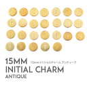 イニシャル チャーム (真鍮 無垢 ) 15mm イニシャルチャーム (ABCDEFGHIJKLMNOPQRSTUVWXYZ) アルファベットを手打ち刻印 かわ...