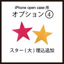 【追加オプション】オプション:4 スター(大)埋込追加