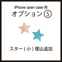 【追加オプション】オプション:5 スター(小)埋込追加