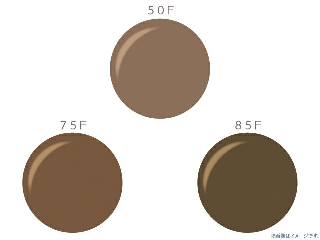 メガネレンズ カラーレンズ オプションレンズコパー(アリアーテ トレス) 2枚一組【標準セットレンズ対応不可】【オプション専用】 商品到着後にレビューを書いて次...