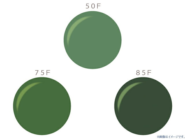 メガネレンズ カラーレンズ オプションレンズフォレスト(アリアーテ トレス) 2枚一組【標準セットレンズ対応不可】【オプション専用】 商品到着後にレビューを書い...