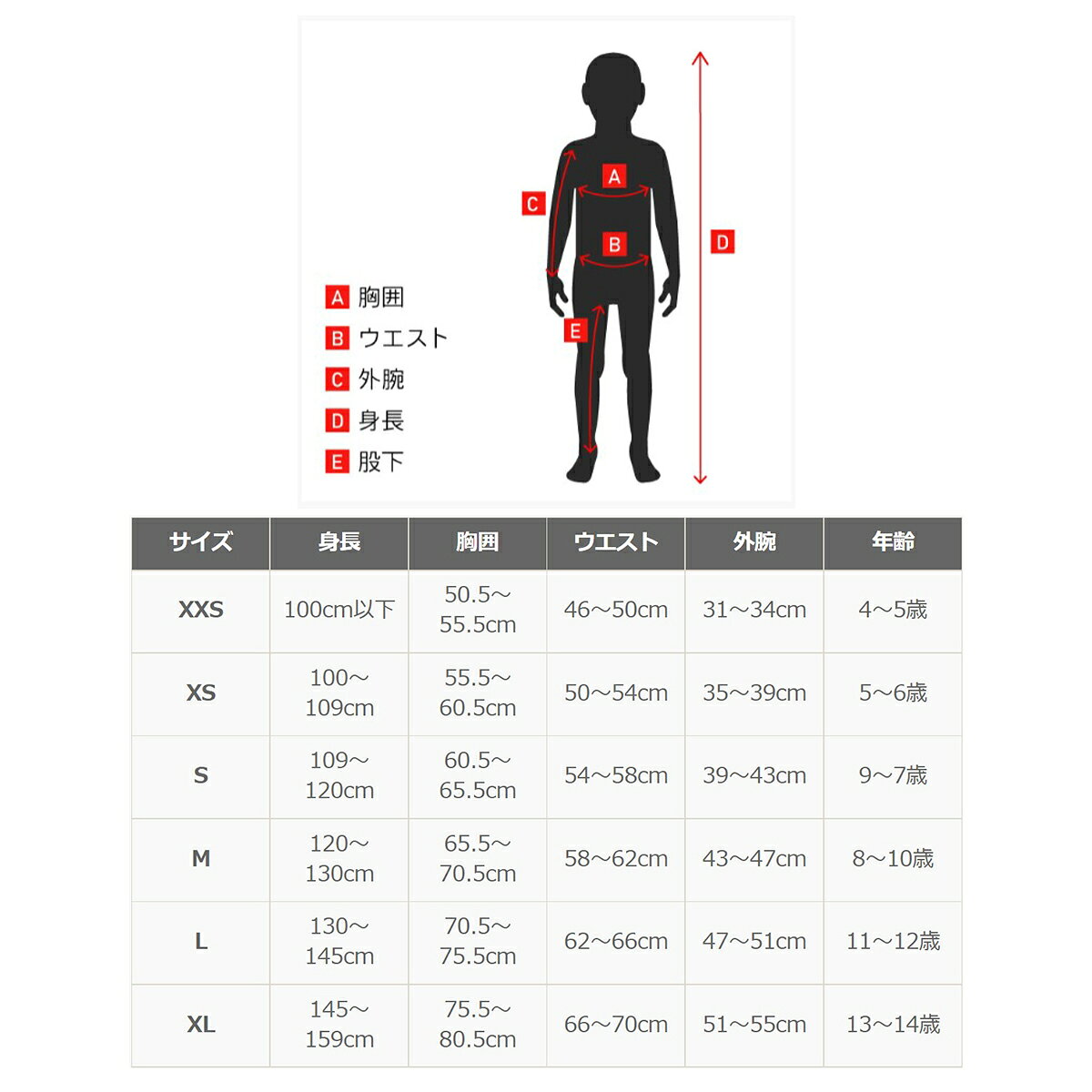 Alpinestars ユース(子供用) レーサー セミ ジャージ Mサイズ ブラック/マルチカラ...