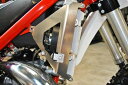 AXP ラジエターガード Beta X-TRAINER250/300 16-22 ブラック AX1397