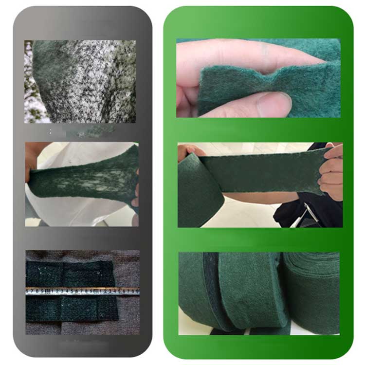 �����ݸ�С� ��ʪ�ݸ��å� �ĥ꡼�ץ��ƥ�������å� �Կ��� 3�ĥ��å� ��ʪ�ץ��ƥ�������å� �ڤδ������� �ĥ꡼�ơ��� ��ʪ���� �����ݸ� �ڤδ��ץ��ƥ����� �ݸ��� ��ʪ�� �����к� �ݲ������� ���� ���� ����