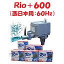 【送料無料】カミハタ Rio+600 水中ポンプ (西日本用:60Hz) リオプラス