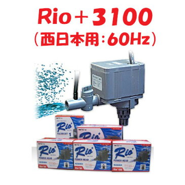 カミハタ Rio＋3100 水中ポンプ (西日本用：60Hz) リオプラス