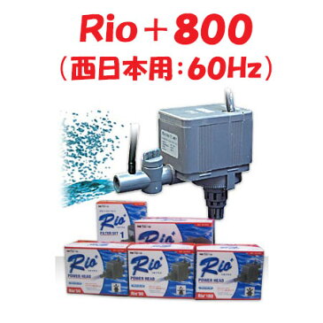 カミハタ Rio＋800 水中ポンプ (西日本用：60Hz) リオプラス