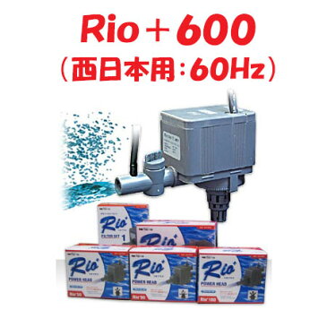 カミハタ Rio＋600 水中ポンプ (西日本用：60Hz) リオプラス