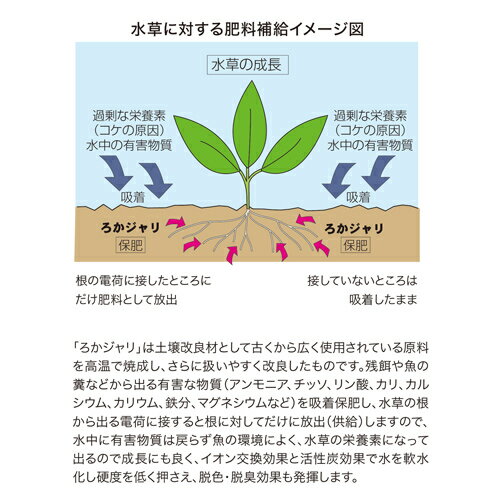 コトブキ ろかジャリ 4L スタンダード 敷砂タイプ 淡水専用 底床 砂利 3