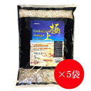【5袋セット】JUN 極上サンゴ NO.15 内容量 5kg 底床 海水 サンゴ砂 ※こちらの商品は13時までのご注文で即日発送となります