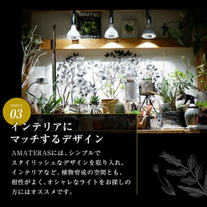 楽天市場 ａｍａｔｅｒａｓ ｌｅｄ ２０ｗ 植物育成用ｌｅｄ 口金ｅ２６ 植物用ライト 観葉植物 テラリウム 株式会社ディスカウントアクア