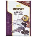 キョーリン ひかり クレスト ビッグキャット 570g 大型底棲肉食魚用 沈下性 えさ