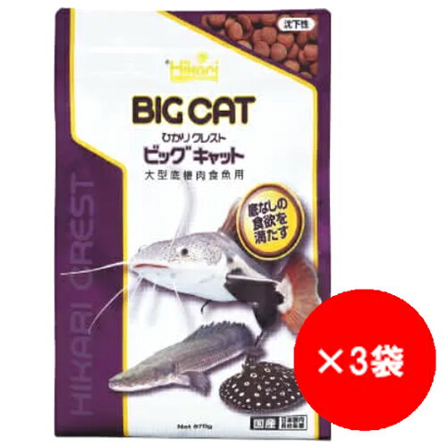 【3袋セット】キョーリン ひかり クレスト ビッグキャット 570g 大型底棲肉食魚用 沈下性 えさ