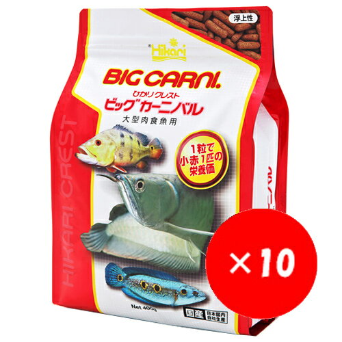 【10個セット】 イトスイ 日本淡水魚用飼料 川魚の主食 緩沈降タイプ 80g