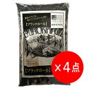 【4点セット】 ストーンディーラーシンセー ブラックホール 6kg 鑑賞魚用底砂 砂利 底床