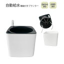 自動給水機能付き植物ポット 植物ポット 水位計付き【正方形】スクエア 給水プランター プランター フラワーポット 自動給水 給水鉢 ひも付き 植木鉢 観葉植物 鉢植え ガーデニング 園芸 底面給水プランター プラスチック製 ホワイト シンプル おしゃれ 送料無料