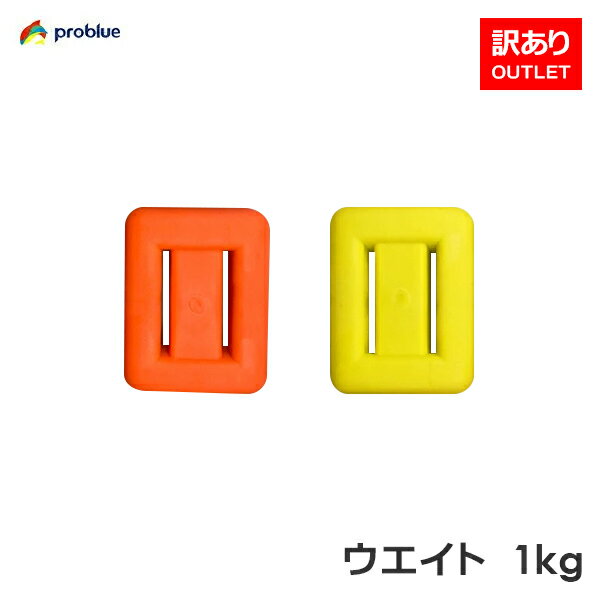 【訳ありアウトレット品】カラーウエイト1kg スキューバダイビング ウエイト 鉛玉 重り AC-08B