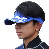 SASエスエーエスプロバイザー40038サンバイザー