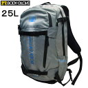 BODYGLOVE ボディグローブ PROLITE プロライト BACKPACK バックパック 25L プロテクター入り グレー リュック バッグ 登山 自転車 スキー スノボー BG27042