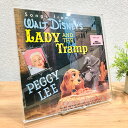 【 LP用アクリルフレーム (フチなし) 】ディスクユニオン / disk union / レコード ディスプレイ LP 10inch フレーム 額縁 アクリル 透明 DJ 壁掛け