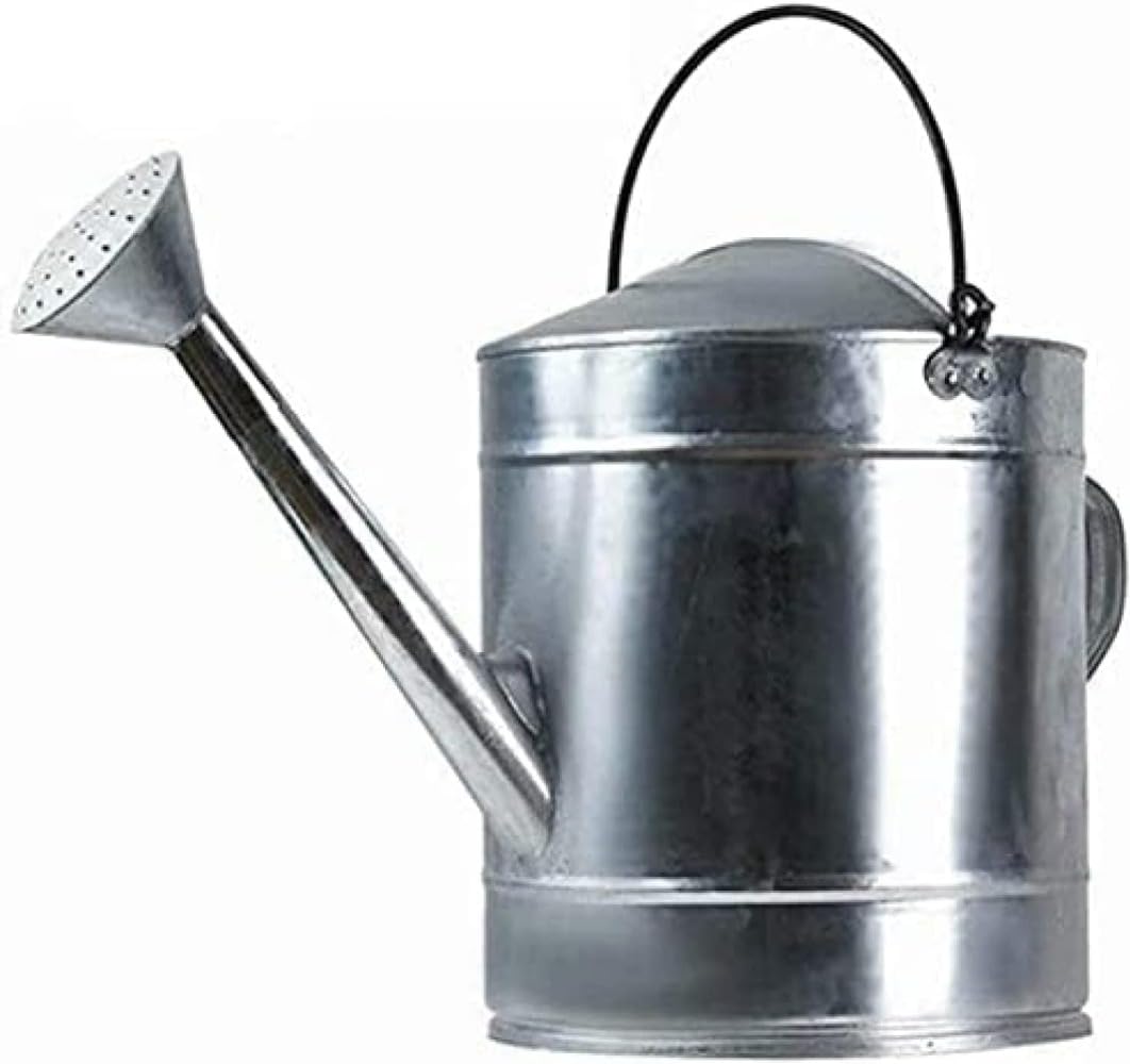 じょうろ庭金属庭の植物を灌漑する花園芸バケツ植物盆栽保育園屋内と屋外に適しています-18*18*20CM/5L