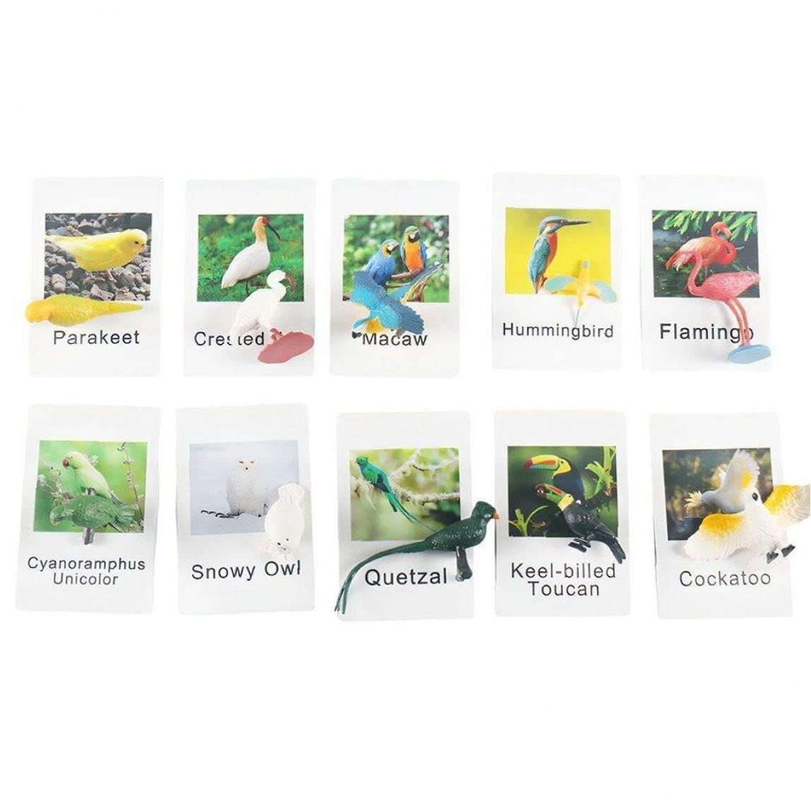モンテッソーリ 動物 マッチングカード 鳥 置物 カード 言語学習 就学前 幼児 認知教育玩具